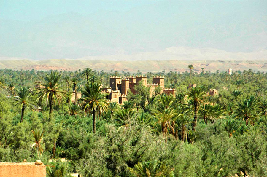 oasis de Skoura