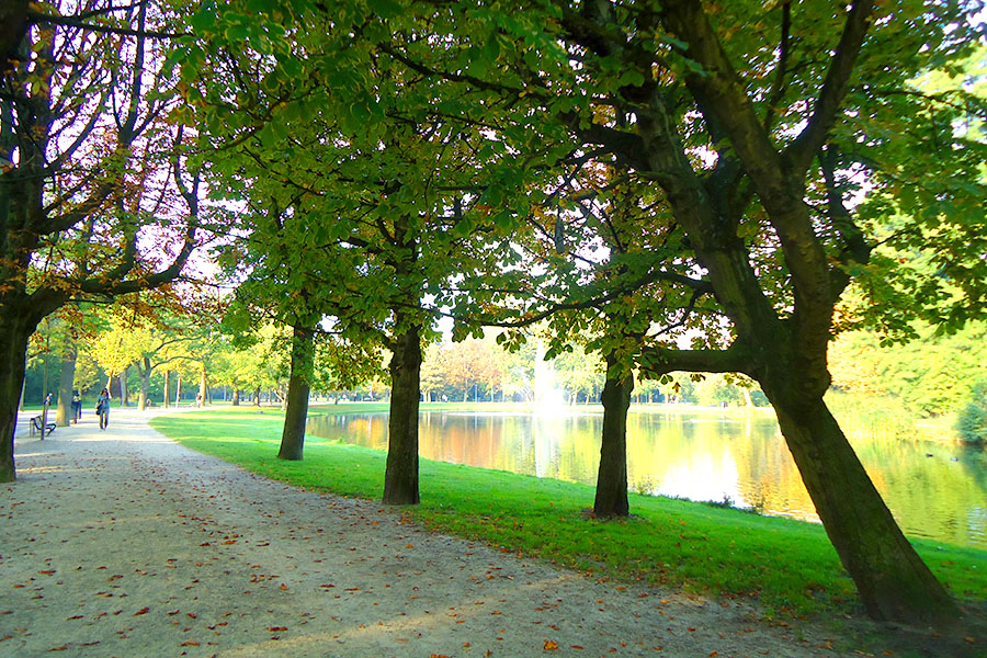 passeios em amsterdam