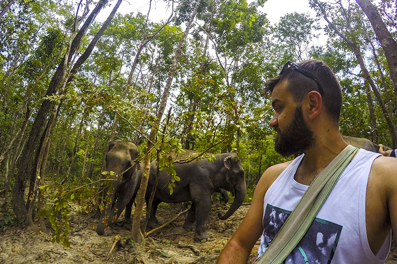 Elephant Jungle Sanctuary - Andando na montanha com elefantes